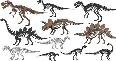 Dinosaur skeleton illustration collection, prehistoric fossil bones set, tyrannosaurus triceratops stegosaurus remains, paleontology science anatomy vector extinct reptiles © VectoBloom