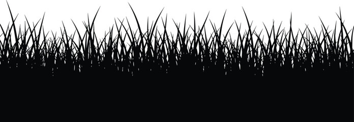 Tall grass field with and silhouette style black and white grass blades © Hello There