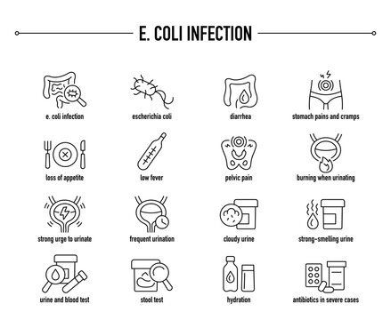 E. Coli Infection symptoms, diagnostic and treatment vector icon set
