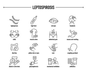 Fototapeta premium Leptospirosis symptoms, diagnostic and treatment vector icon set