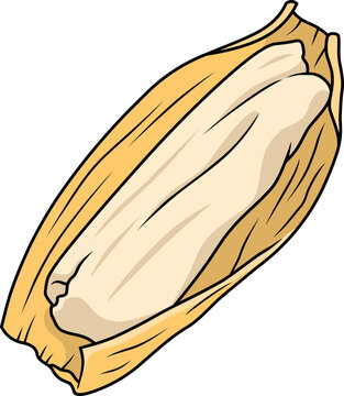 Colorful cartoon vector illustration of Mexican tamale with open corn husk and tasty masa