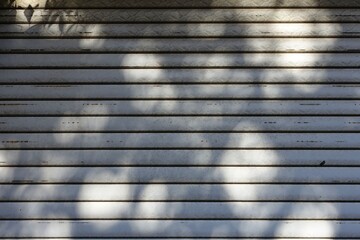 シャッターに映る木漏れ日