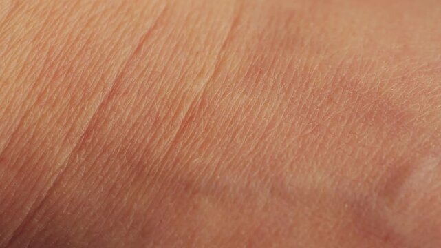 Hand with wrinkles close-up. Human skin texture.