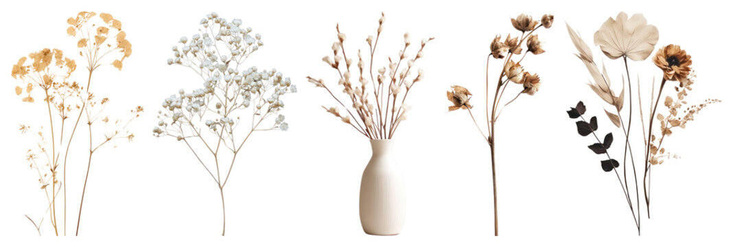 PNG Elegant dried floral arrangements, transparent background