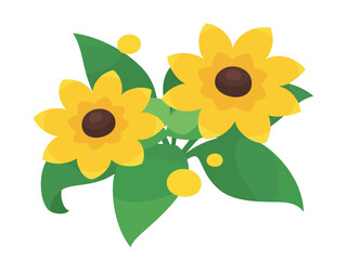 かわいいルドベキアのイラスト素材