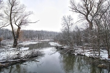 Fototapeta premium Through a snow-covered forest, a small stream flows toward a lake on a cloudy winter day at Wehr Nature Center in Franklin, Wisconsin.