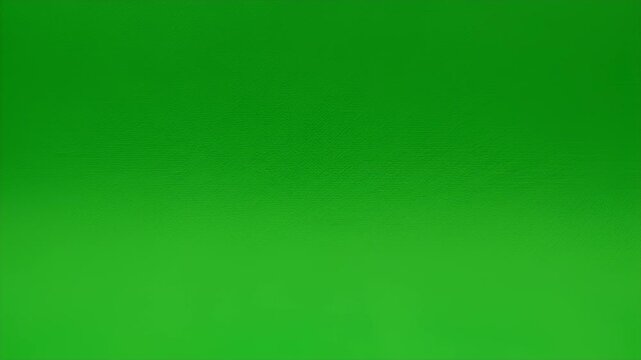 A smooth, seamless, vibrant green background curves gently from wall to floor