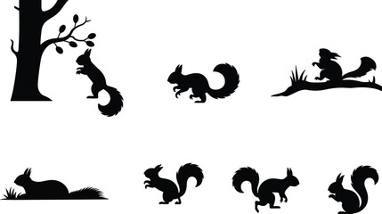 Obraz premium Squirrel silhouette set showing jumping climbing running and sitting poses isolated black vector illustration wildlife forest animal design