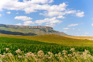 Field And Mountain Plateau © Marina