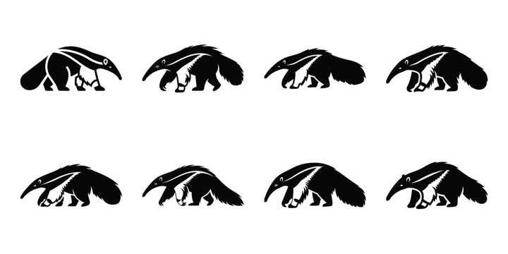 Set of silhouette anteater in various poses isolated on background. Animal Vector elements for design.