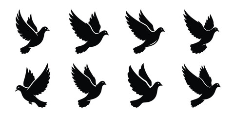 Fototapeta premium Set of silhouette dove in various poses isolated on background. Animal Vector elements for design.