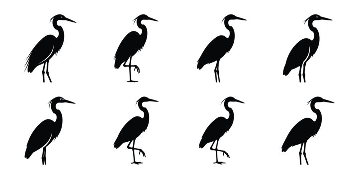 Set of silhouette egret in various poses isolated on background. Animal Vector elements for design.