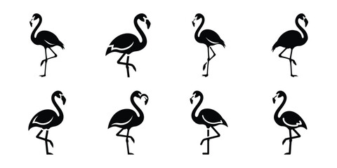 Set of silhouette flamingo in various poses isolated on background. Animal Vector elements for design. © ganesh106