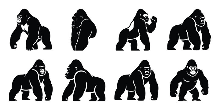 Set of silhouette gorilla in various poses isolated on background. Animal Vector elements for design.