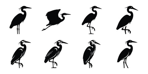 Obraz premium Set of silhouette heron in various poses isolated on background. Animal Vector elements for design.