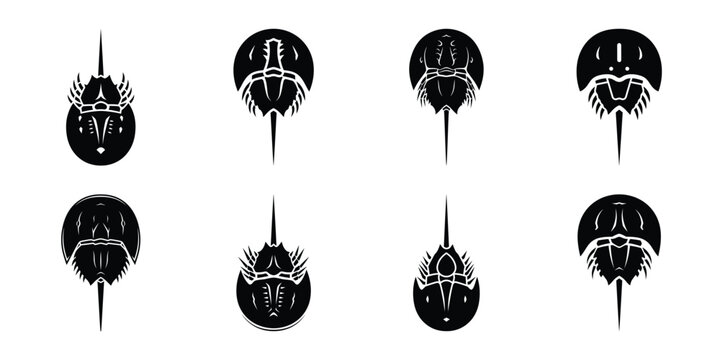 Set of silhouette horseshoe crab in various poses isolated on background. Animal Vector elements for design.