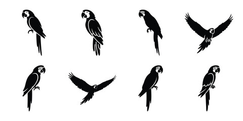 Set of silhouette macaw in various poses isolated on background. Animal Vector elements for design. © ganesh106