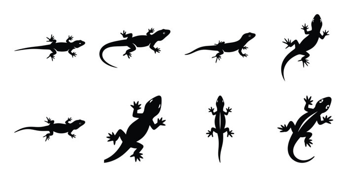 Set of silhouette lizard in various poses isolated on background. Animal Vector elements for design.