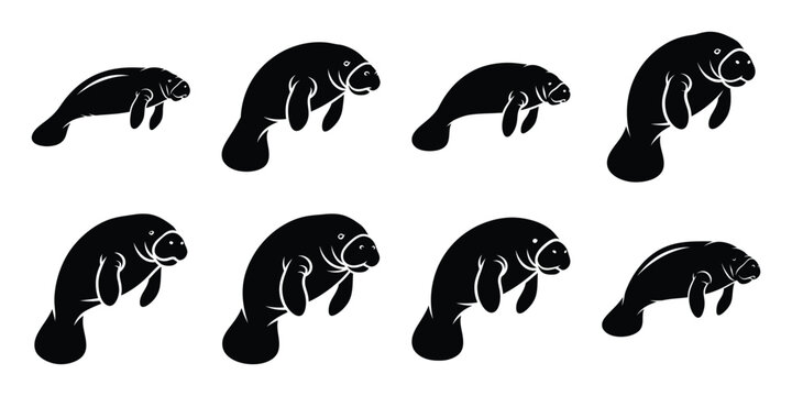 Set of silhouette manatee in various poses isolated on background. Animal Vector elements for design.