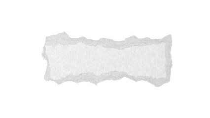 Torn edge of white paper with a textured surface, blank space in the center suitable for text or design elements, isolated on a white background