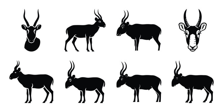 Set of silhouette saiga antelope in various poses isolated on background. Animal Vector elements for design.