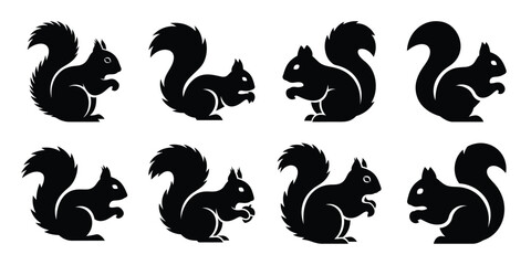 Fototapeta premium Set of silhouette squirrel in various poses isolated on background. Animal Vector elements for design.
