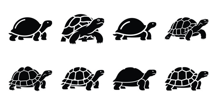 Set of silhouette tortoise in various poses isolated on background. Animal Vector elements for design.