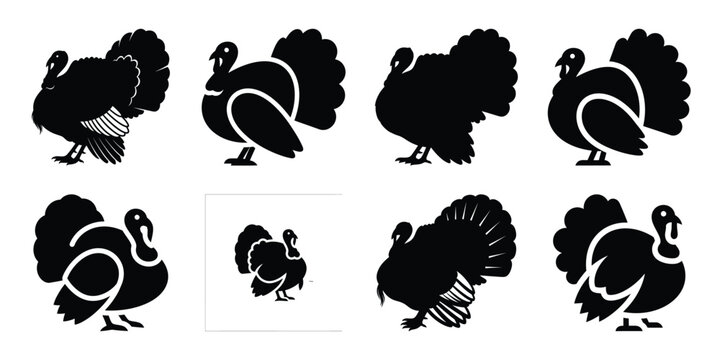 Set of silhouette turkey in various poses isolated on background. Animal Vector elements for design.
