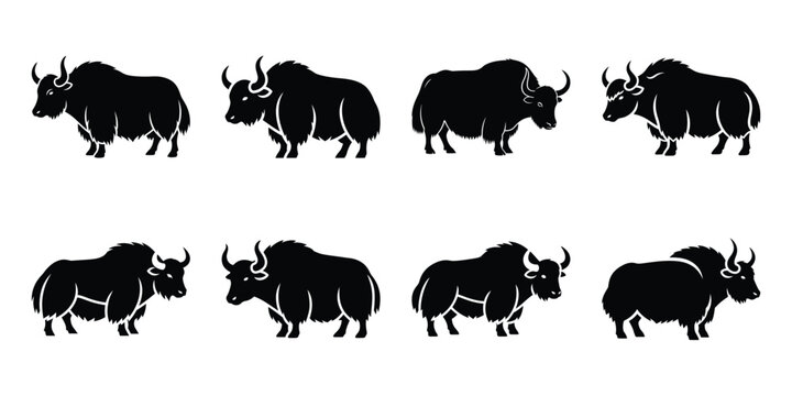 Set of silhouette yak in various poses isolated on background. Animal Vector elements for design.