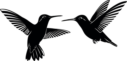 Obraz premium Black and white vector silhouette of two hummingbirds in flight facing each other, elegant nature bird illustration isolated on white background