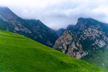 Obraz premium Mountain ridge with rocky peaks and green slopes