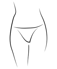 Woman legs swimsuit panties bikini hand drawing