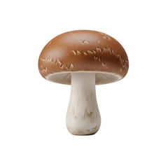 Single large brown mushroom with a thick white stem and visible gills, isolated on a white background for cooking.