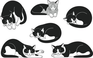 Adorable black and white tuxedo cat vector set featuring cute kittens in various relaxed sleeping and curling poses. © D P Store