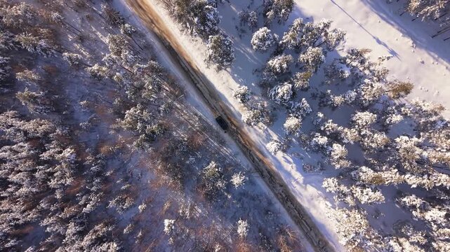 Vehicle Traverses Icy Pine Trail. Large Vehicle Moves Across Wintry Forest Path. Freight Truck Navigates Through Snowcovered Woods During Winter