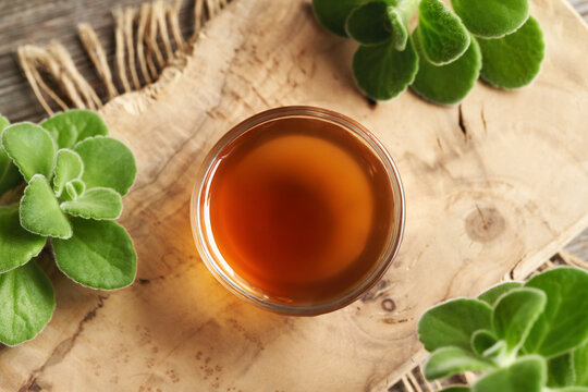 A bowl of Plectranthus or Coleus amboinicus syrup for common cold