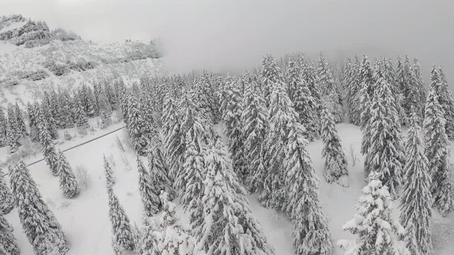 Drone FPV Sapins enneig&eacute;s 