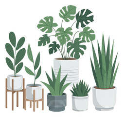 Group of potted houseplants with green leaves potted plants isolated on a transparent background