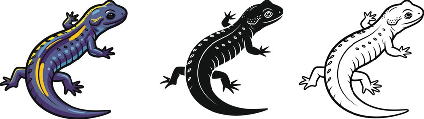 Obraz premium Collection of three distinct salamander illustrations showing a colorful blue and yellow version a solid black silhouette and a simple black and white outline drawing ideal for nature designs