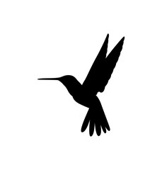 Obraz premium silhouette of birds