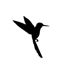 Obraz premium silhouette of birds