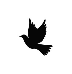 Obraz premium silhouette of birds