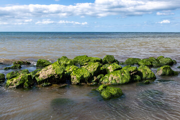Seaweed covered rocks in shallow water, at Whale Chine on the Isle of Wight