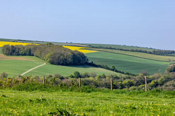 A view over farmland in the South Downs, on a sunny spring day