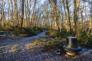 Woodland on a frosty January morning, with a pheasant feeder in the foreground