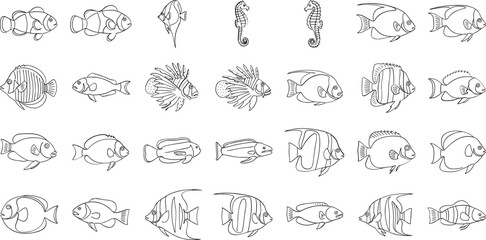 Diverse collection of fish and sea creatures in black and white line art