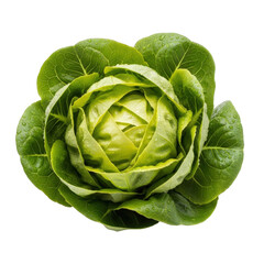 Fototapeta premium Fresh green artichoke flower bud isolated on transparent background