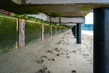 Beneath_Beach_Boardwalk 2
