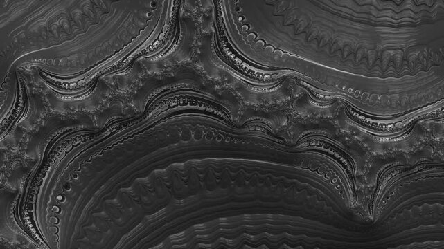 Overlay Animation Features Black and White Abstract Shapes Changing Over Time in a Detailed Pattern