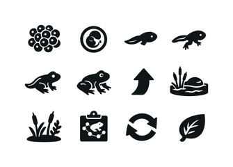Obraz premium Frog Growth Stages. Solid icon set of Frog Growth Stages: egg cluster, embryo egg, tadpole, legged tadpole, juvenile frog, adult frog, growth